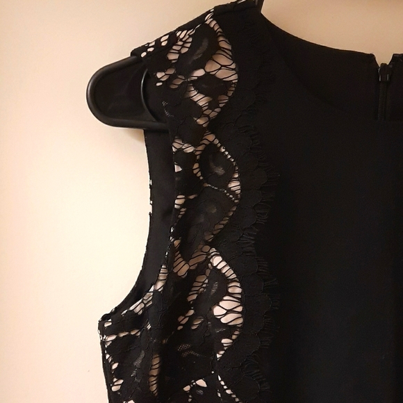 J. Crew Lace Panel Sheath Dress - Picture 8 of 12